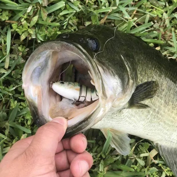 Enjoy 30% OFF for adding the second one 🎣