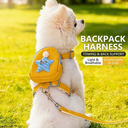 Brinyko Small Dog Backpack Harness Set - Cute Pet Walking Leash & Saddle Bag, Escape Proof Vest for Small Dogs and Cats, Comfortable Puppy Chest Lead for Daily Walks